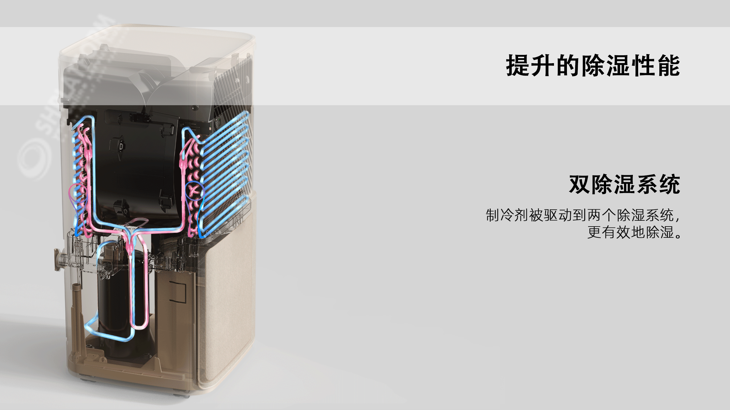 双除湿.png